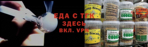 индика Заводоуковск