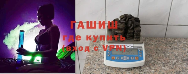 2c-b Ельня