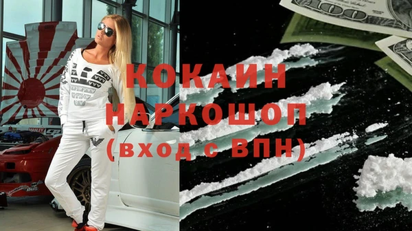индика Заводоуковск