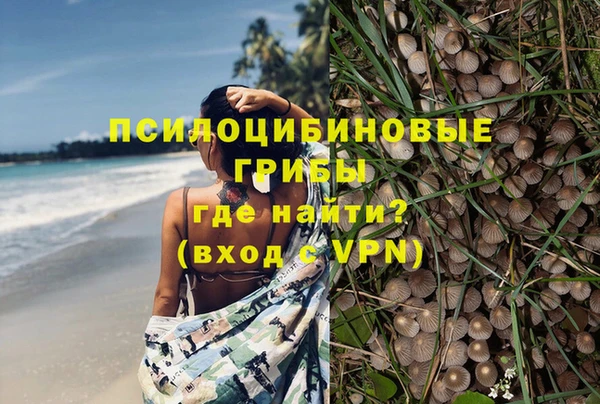 мдпв Козельск