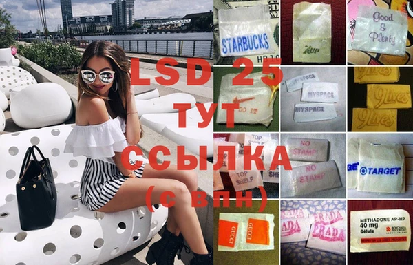стафф Елизово