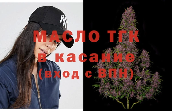 индика Заводоуковск