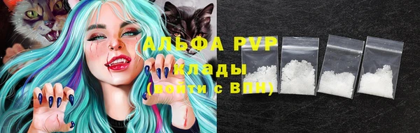 индика Заводоуковск