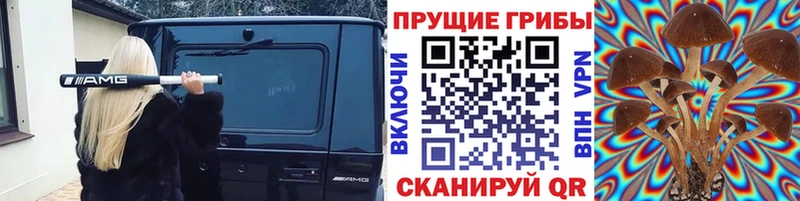 Галлюциногенные грибы ЛСД  купить   OMG ССЫЛКА  Кандалакша 