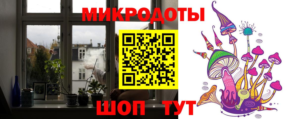 Галлюциногенные грибы Psilocybe  Вход с VPN  Кандалакша 